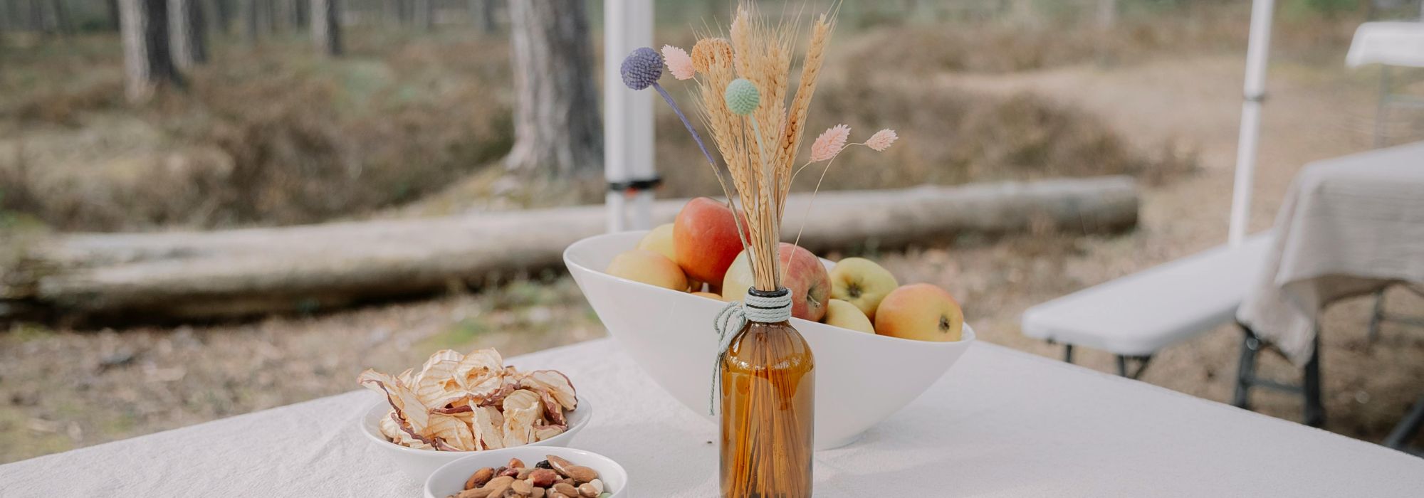 Assortiment de collations de fruits lyophilisés Wellioo préparées pour un voyage de camping estival